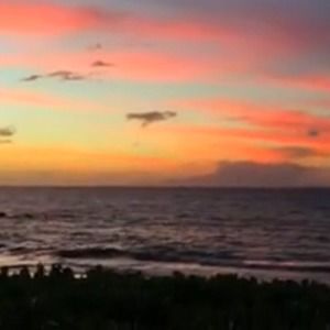 Meet your Posher, Mia